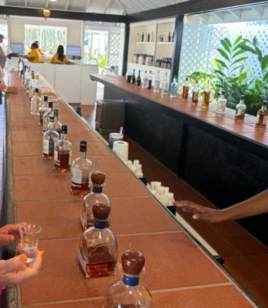 Rum distillery experience